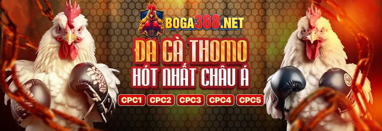 Hình ảnh minh họa tuân thủ GDPR và bảo mật dữ liệu tại fcb888